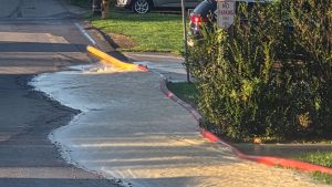 This morning 8/29/26 around 6am Baldwin Fire Rescue was…